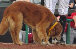 553x0-81c3b2048e287e5e17e79119340fe3f0