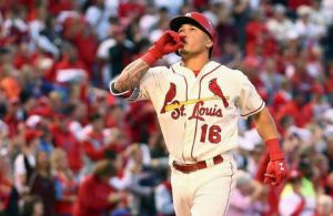 553x0-d68bc05b1c2c608bc14417f304ba26b8